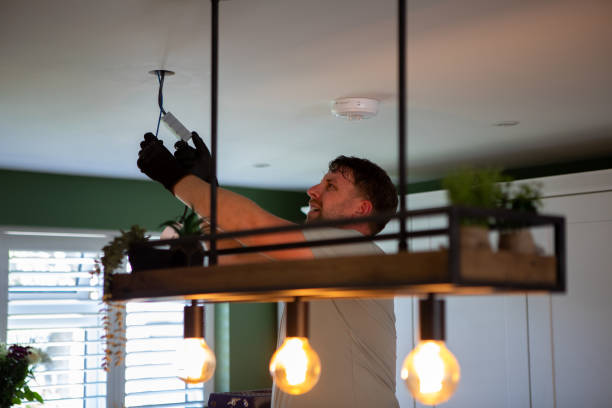 Best Electrical System Inspection  in Webberville, MI